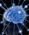 Epilepsi Tipleri
